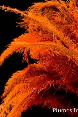 Autruche - 32-42 cm - gris clair-orange